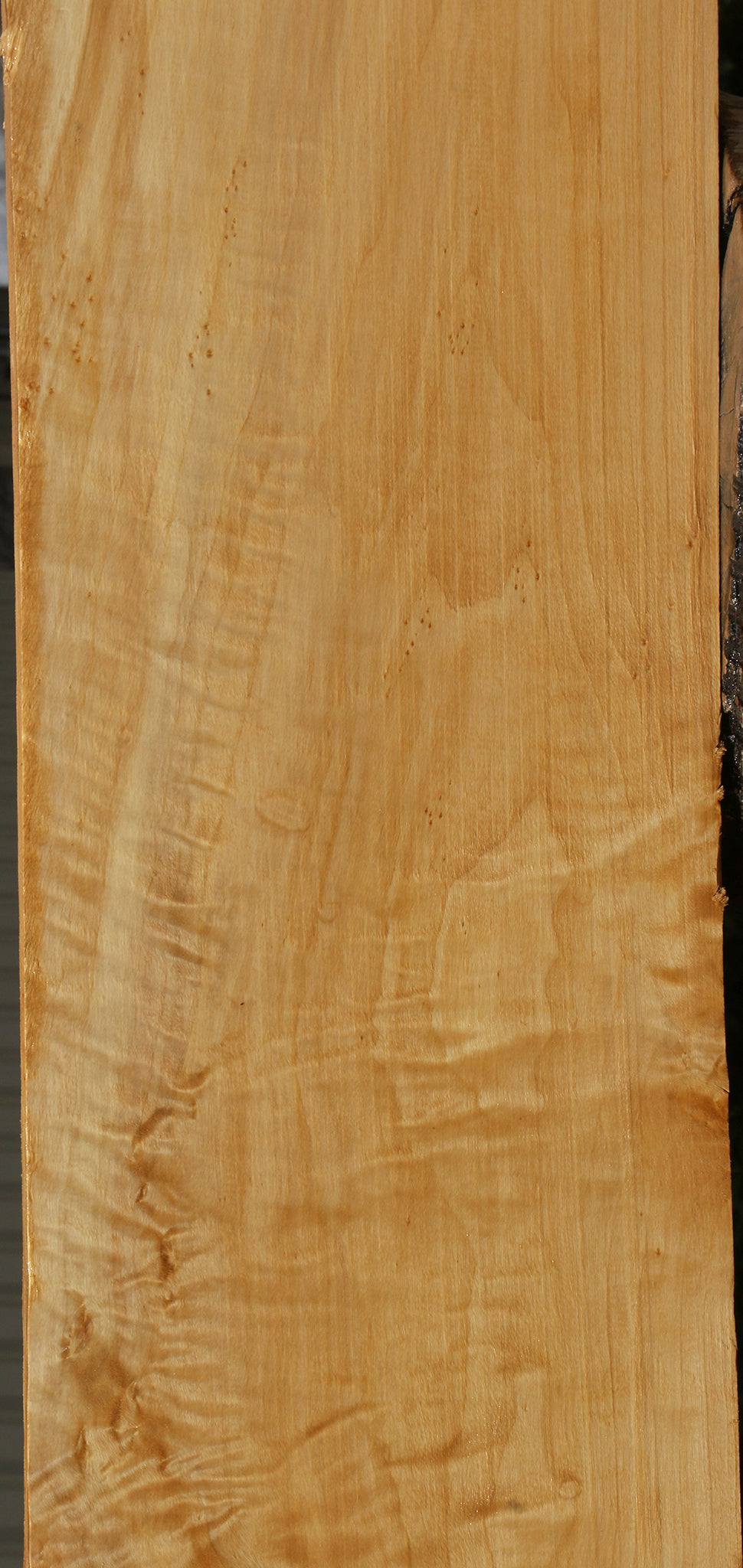 Extra Fancy Black Cottonwood Mantel (Free Shipping Excluded)