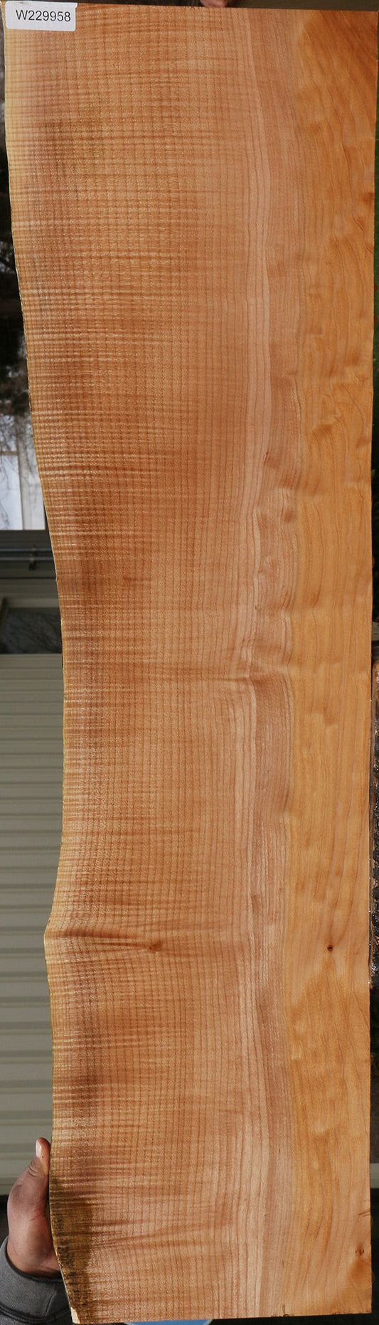 Extra Fancy Maple Live Edge Lumber