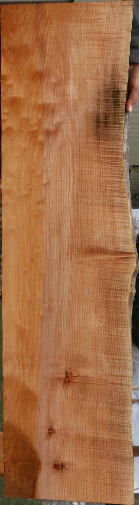 Extra Fancy Maple Live Edge Lumber