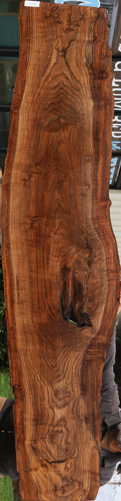 Claro Walnut Live Edge Lumber (Free Shipping Excluded)