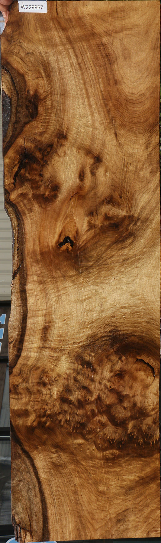 Gold Myrtle Burl Live Edge Lumber