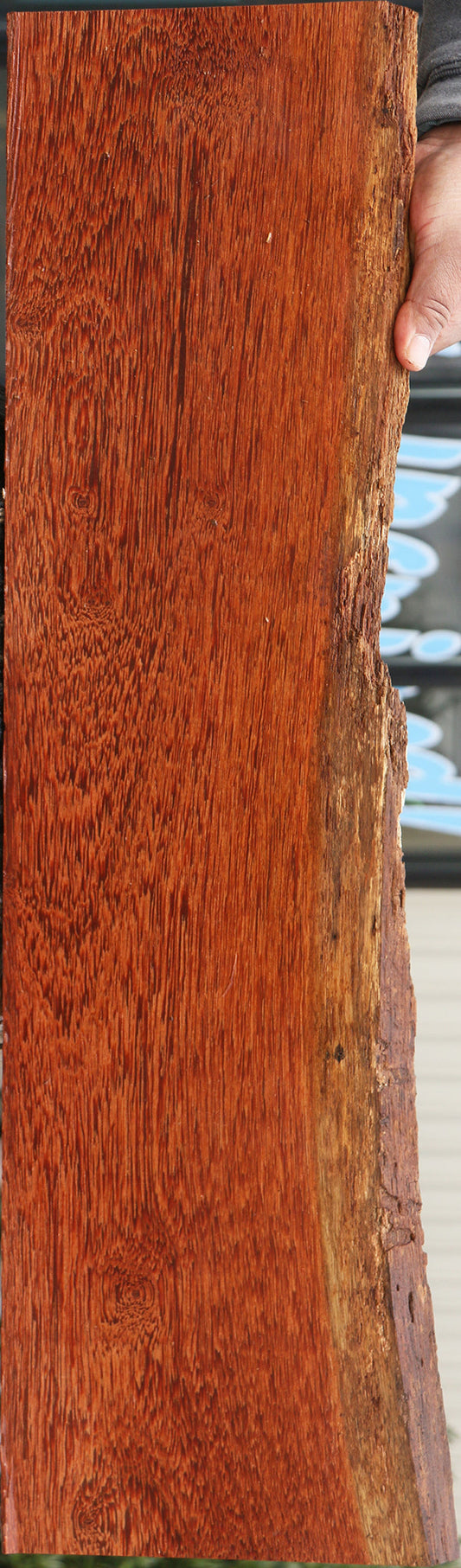 Red Cabbage Bark Live Edge Lumber