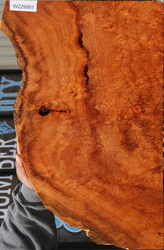 Redwood Lace Burl Lumber