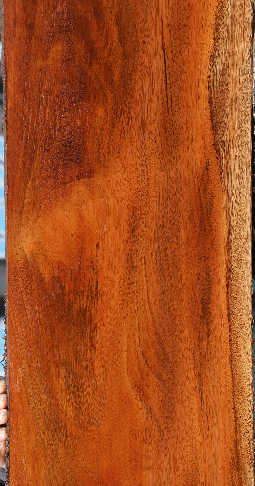 Honduras Mahogany Slab (Free Shipping Excluded)