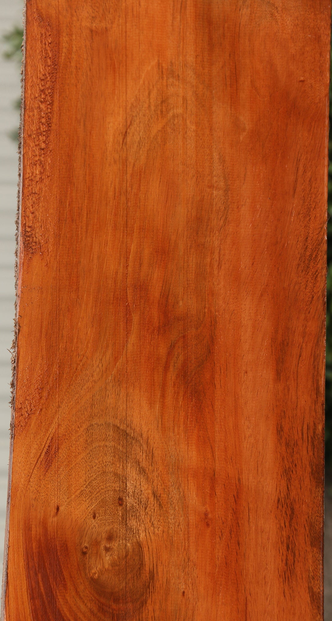 Honduras Mahogany Slab (Free Shipping Excluded)