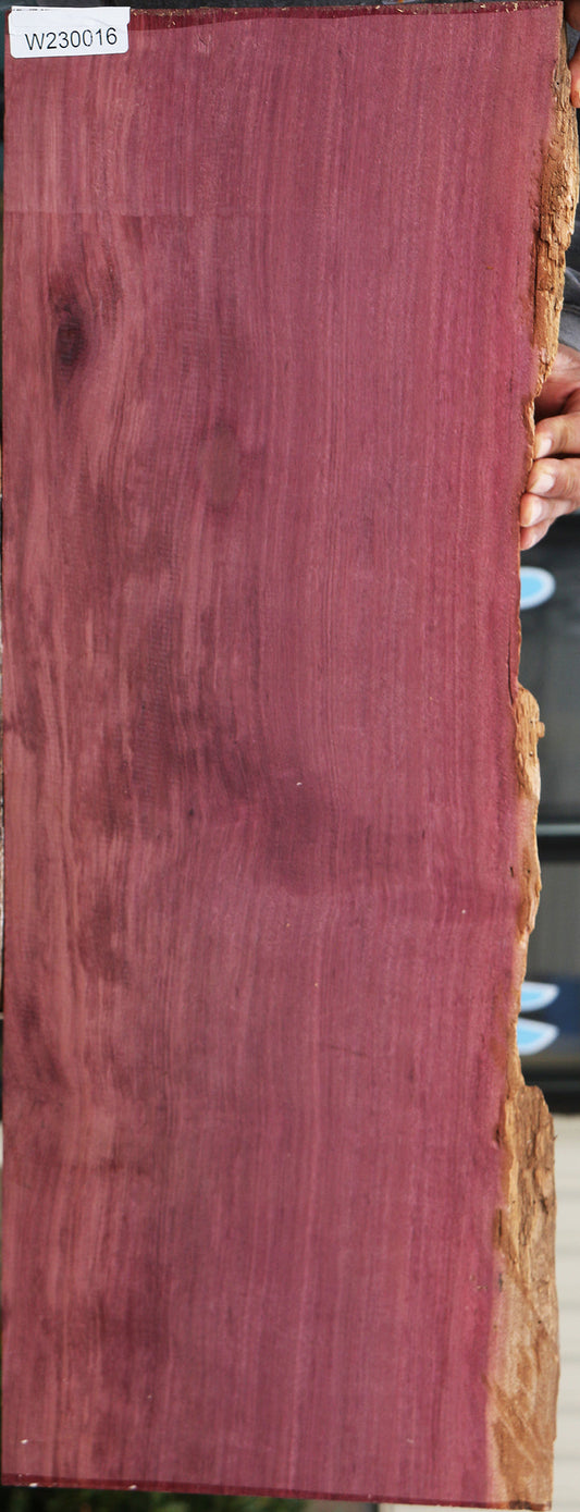 Purpleheart Live Edge Lumber