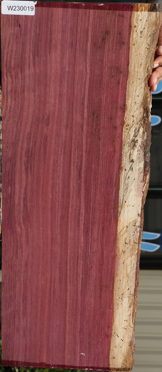 Purpleheart Live Edge Lumber