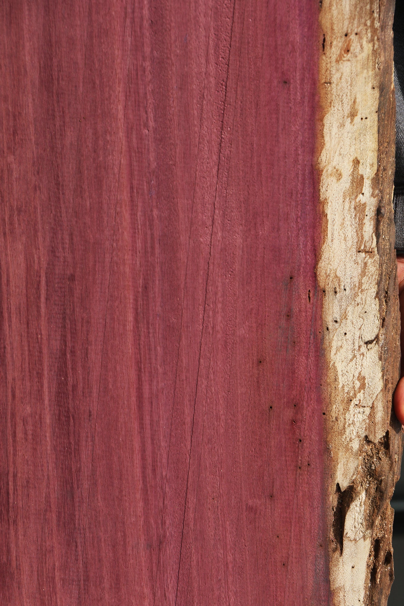 Purpleheart Live Edge Lumber