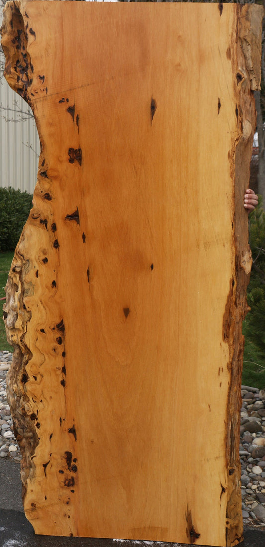 Piquiarana Live Edge Slab