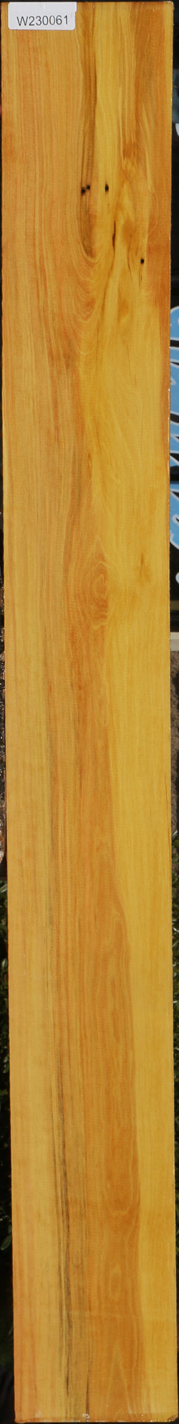 Figured Kirandy Lumber