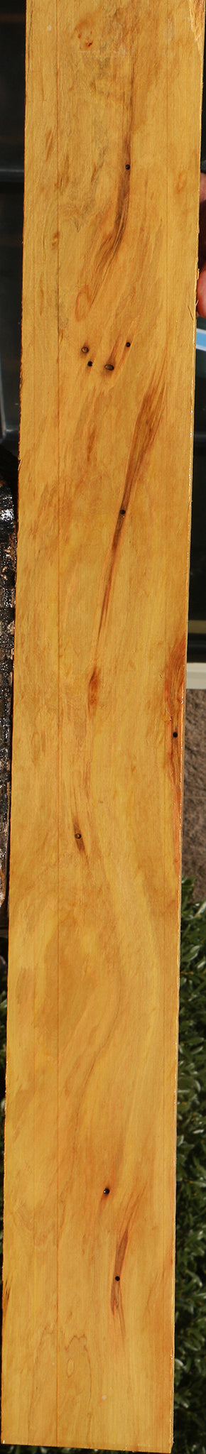 Extra Fancy Kirandy Lumber