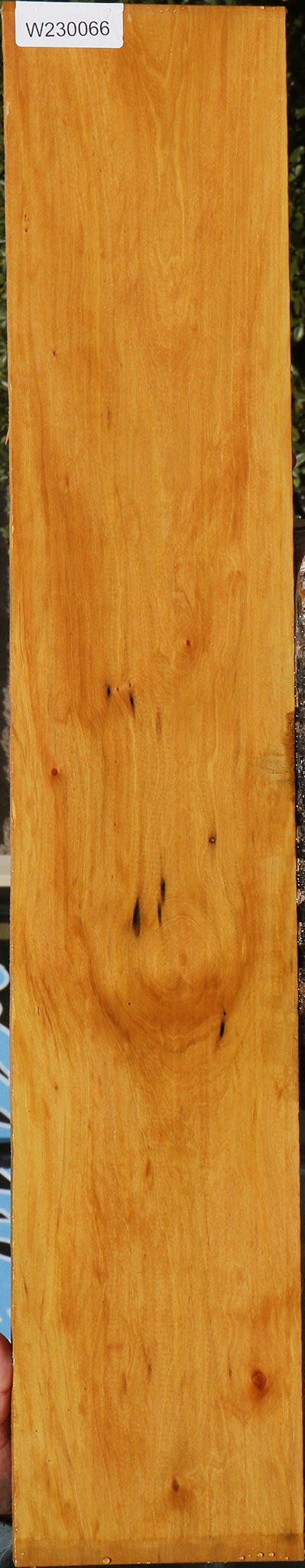 Figured Kirandy Lumber