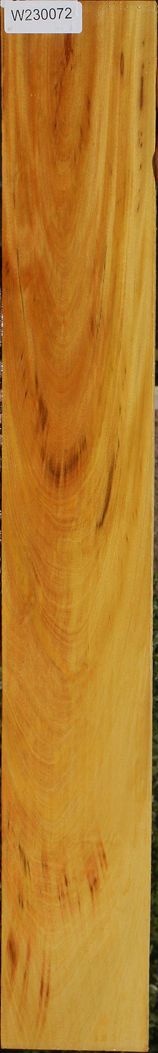 Figured Kirandy Lumber