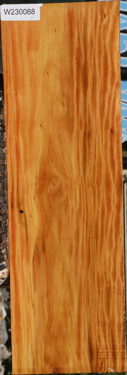 Extra Fancy Kirandy Lumber