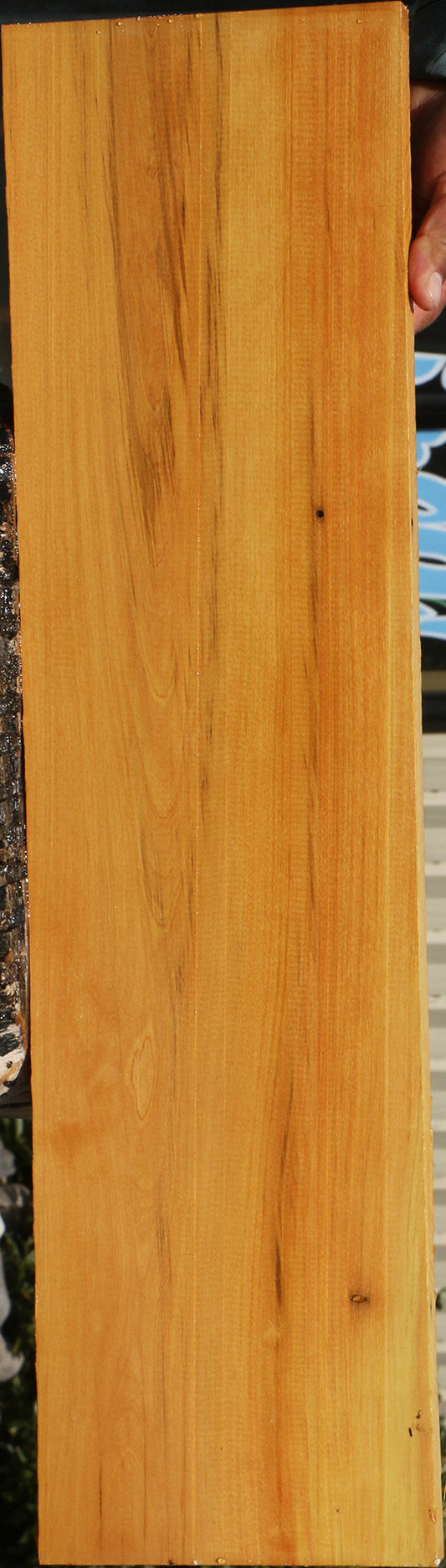 Figured Kirandy Lumber