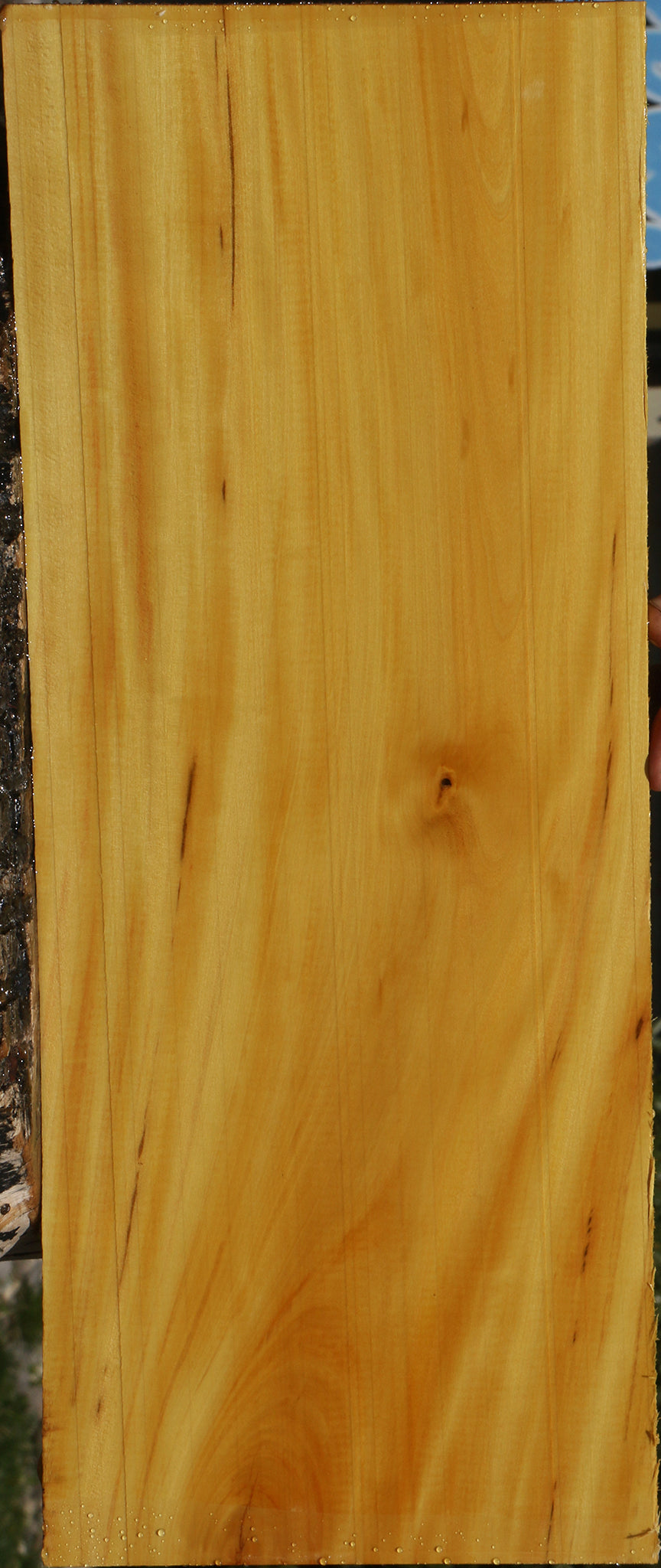 Figured Kirandy Lumber