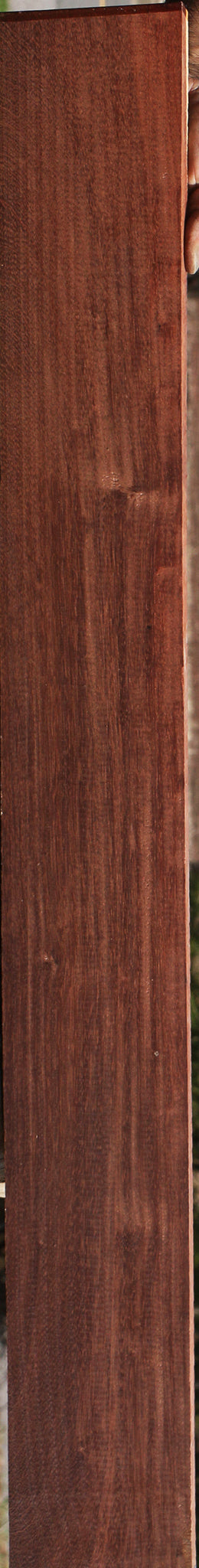 Katalox Lumber