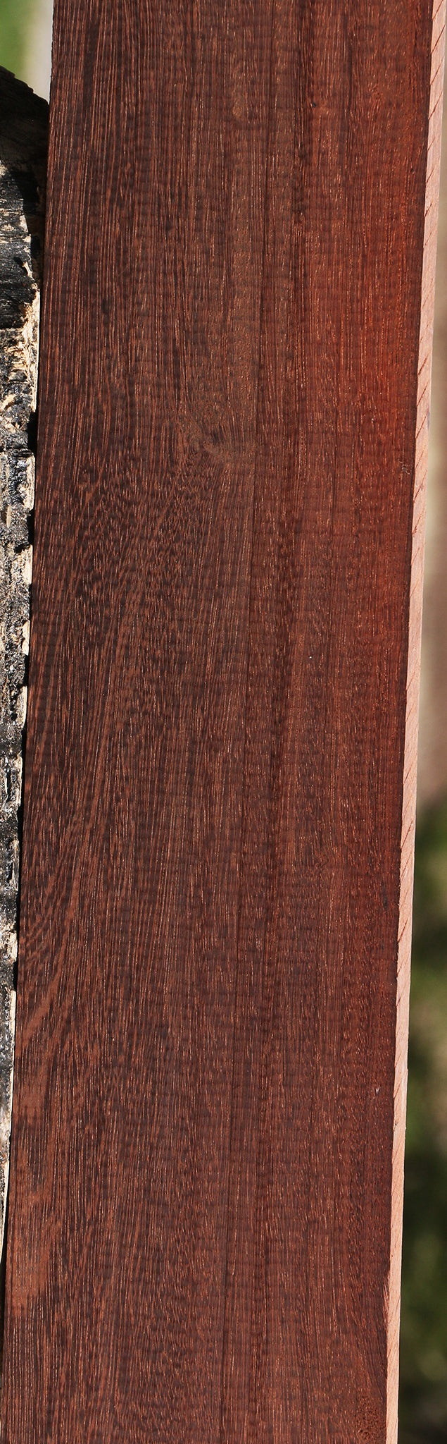 Katalox Lumber