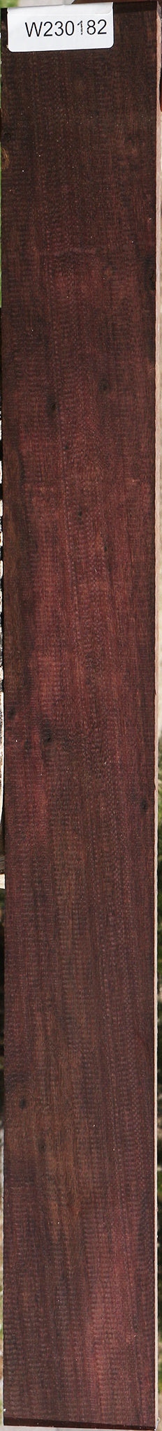 Katalox Lumber