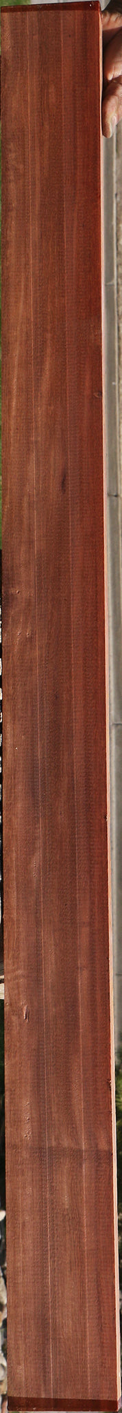 Figured Katalox Lumber