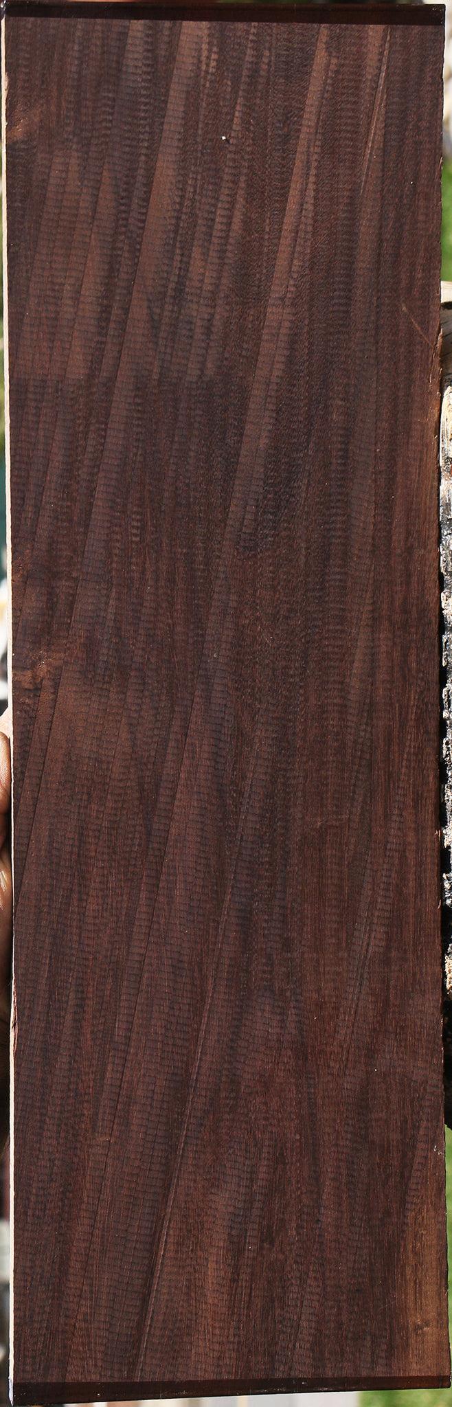 Figured Katalox Lumber