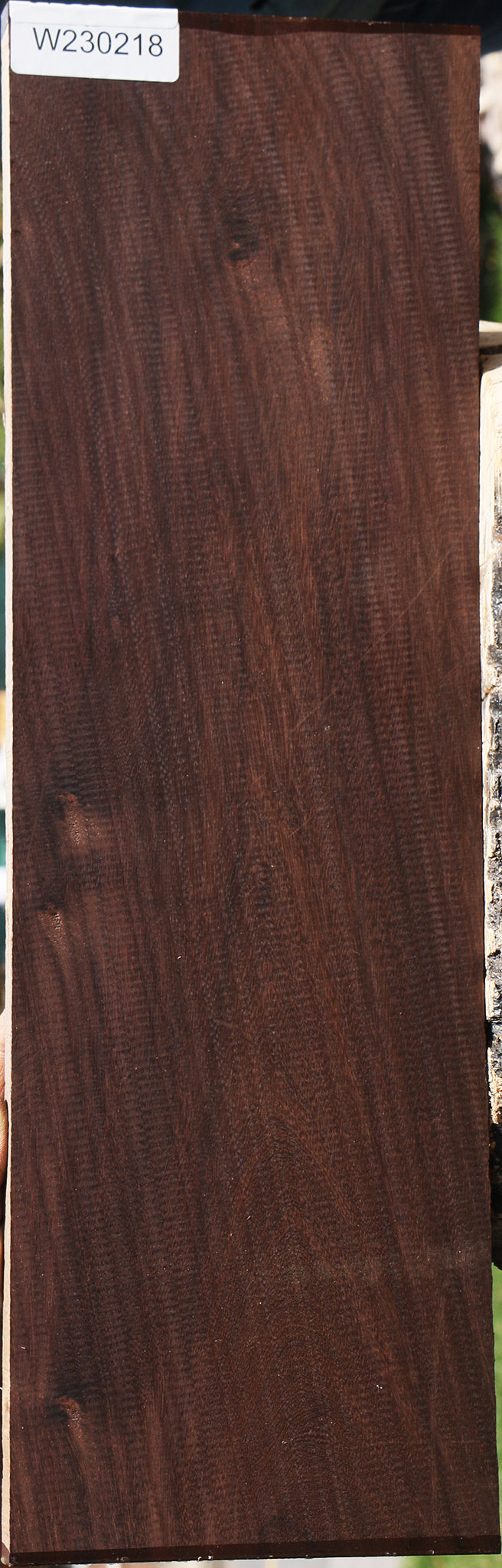 Figured Katalox Lumber