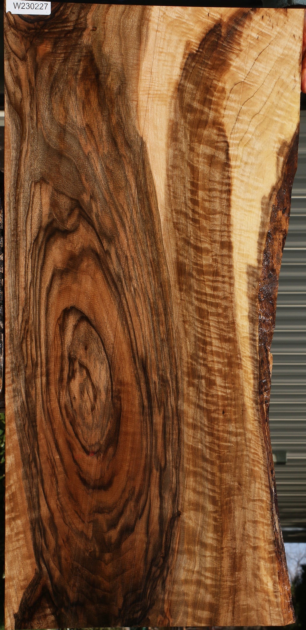 Exhibition English Walnut Live Edge Instrument Lumber