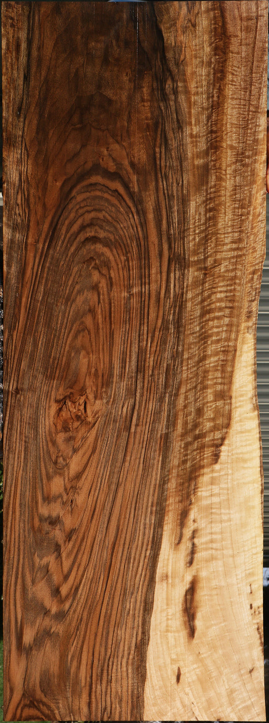 Exhibition English Walnut Live Edge Lumber