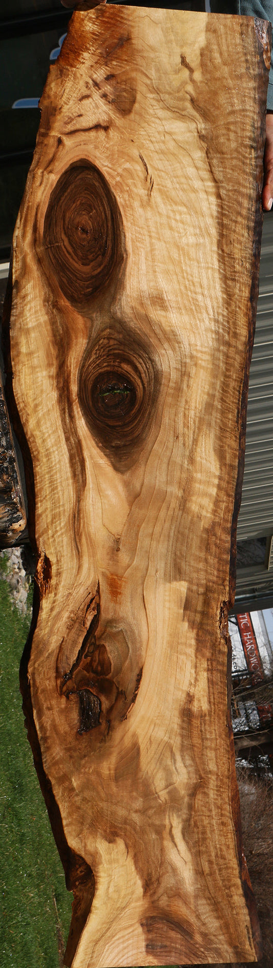 Rustic English Walnut Live Edge Lumber