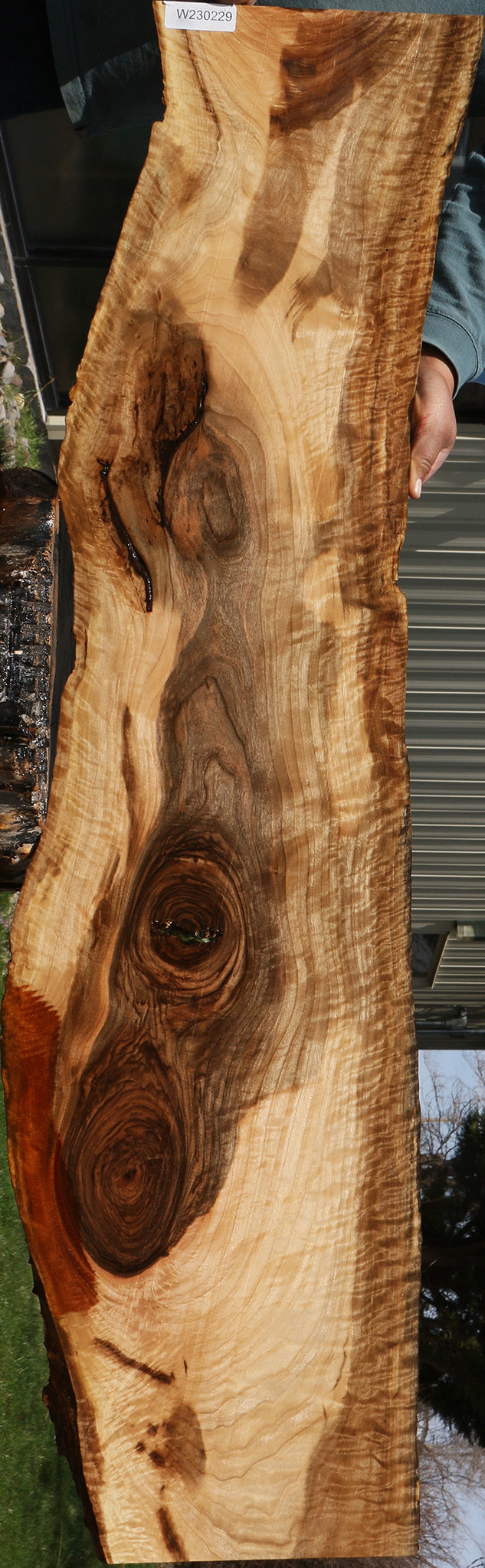 Rustic English Walnut Live Edge Lumber