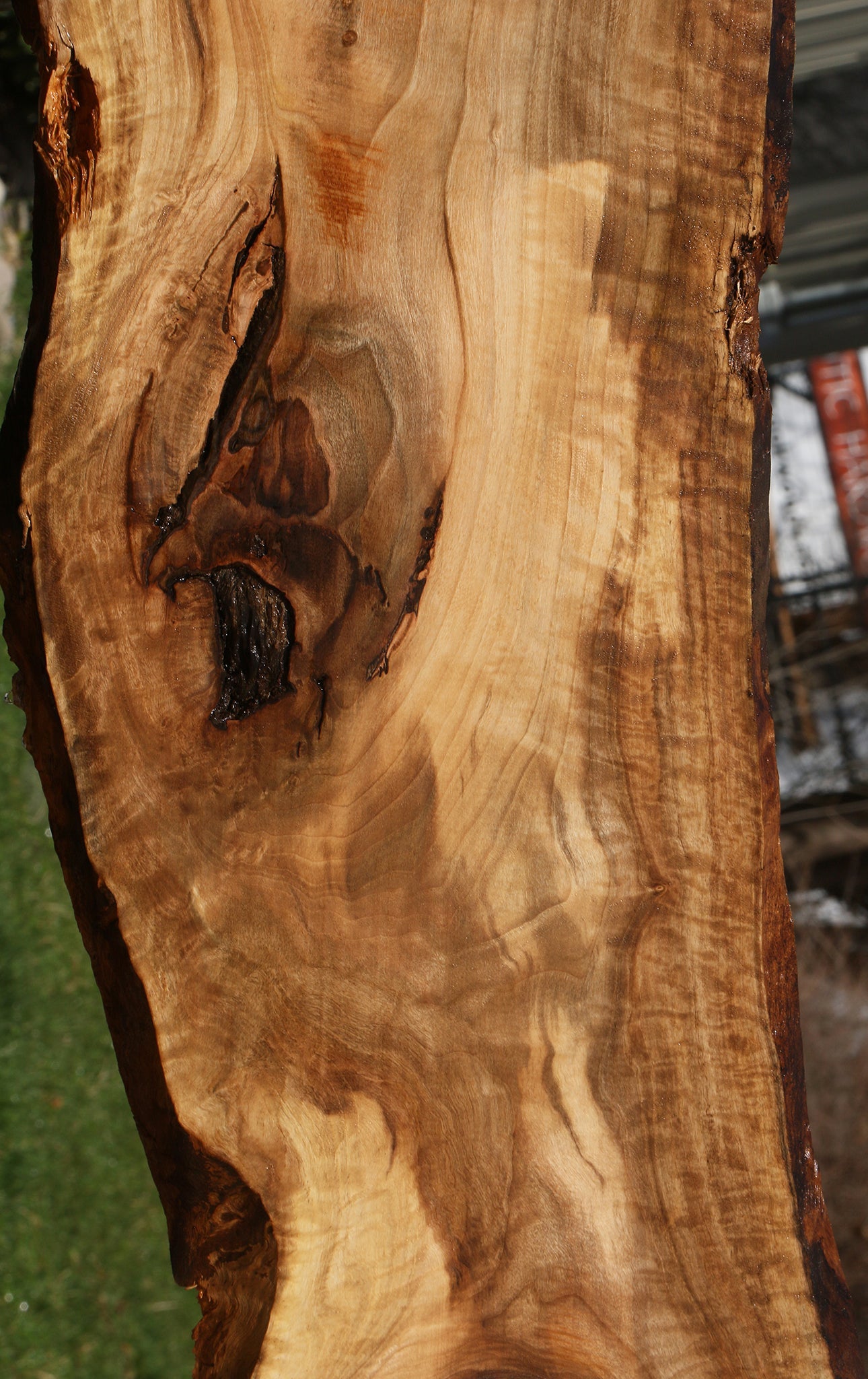 Rustic English Walnut Live Edge Lumber