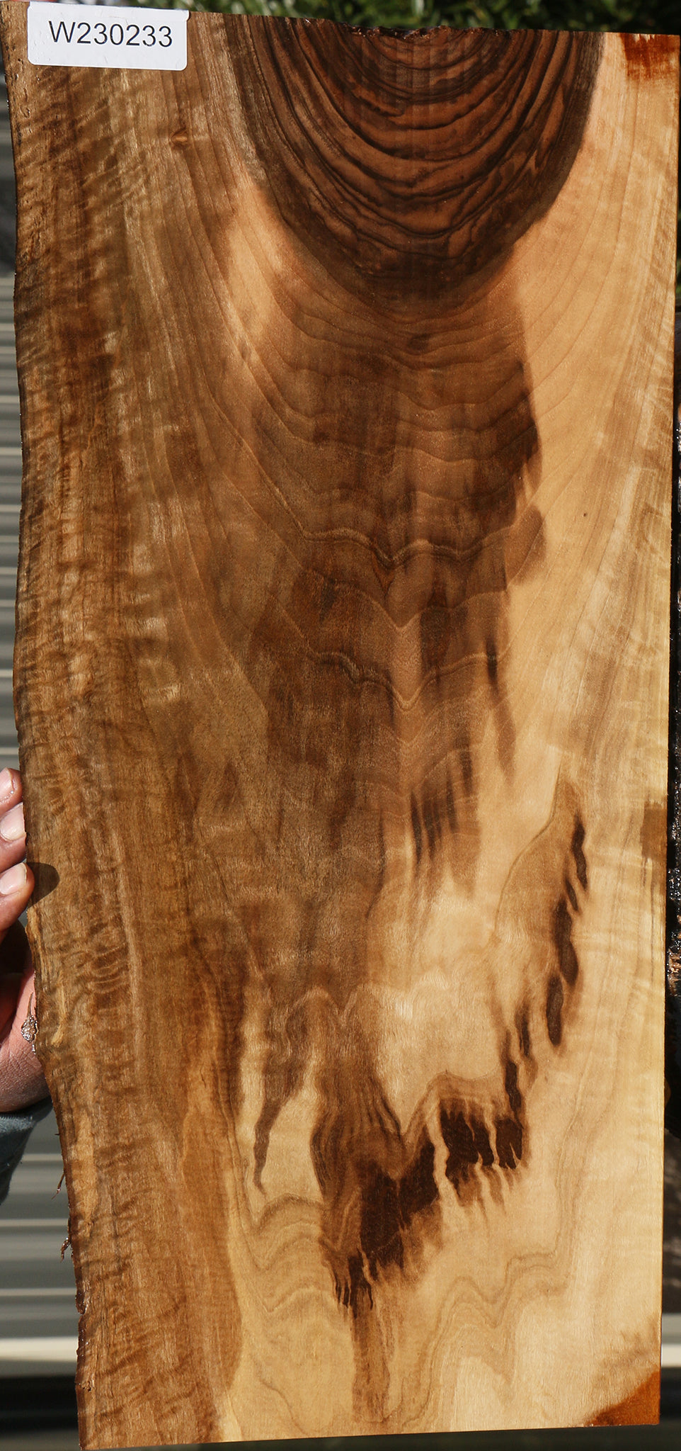Extra Fancy English Walnut Live Edge Lumber