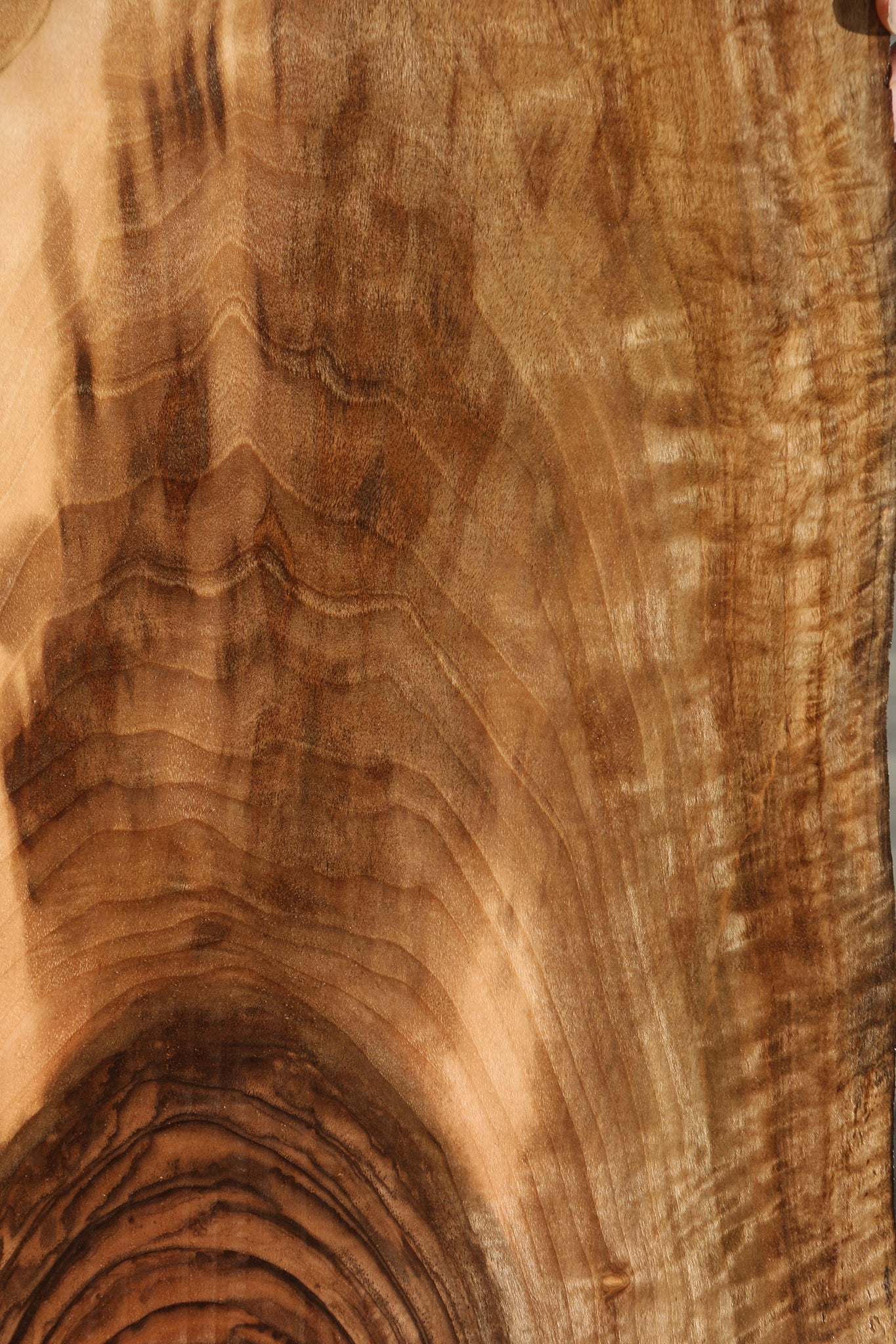 Extra Fancy English Walnut Live Edge Lumber