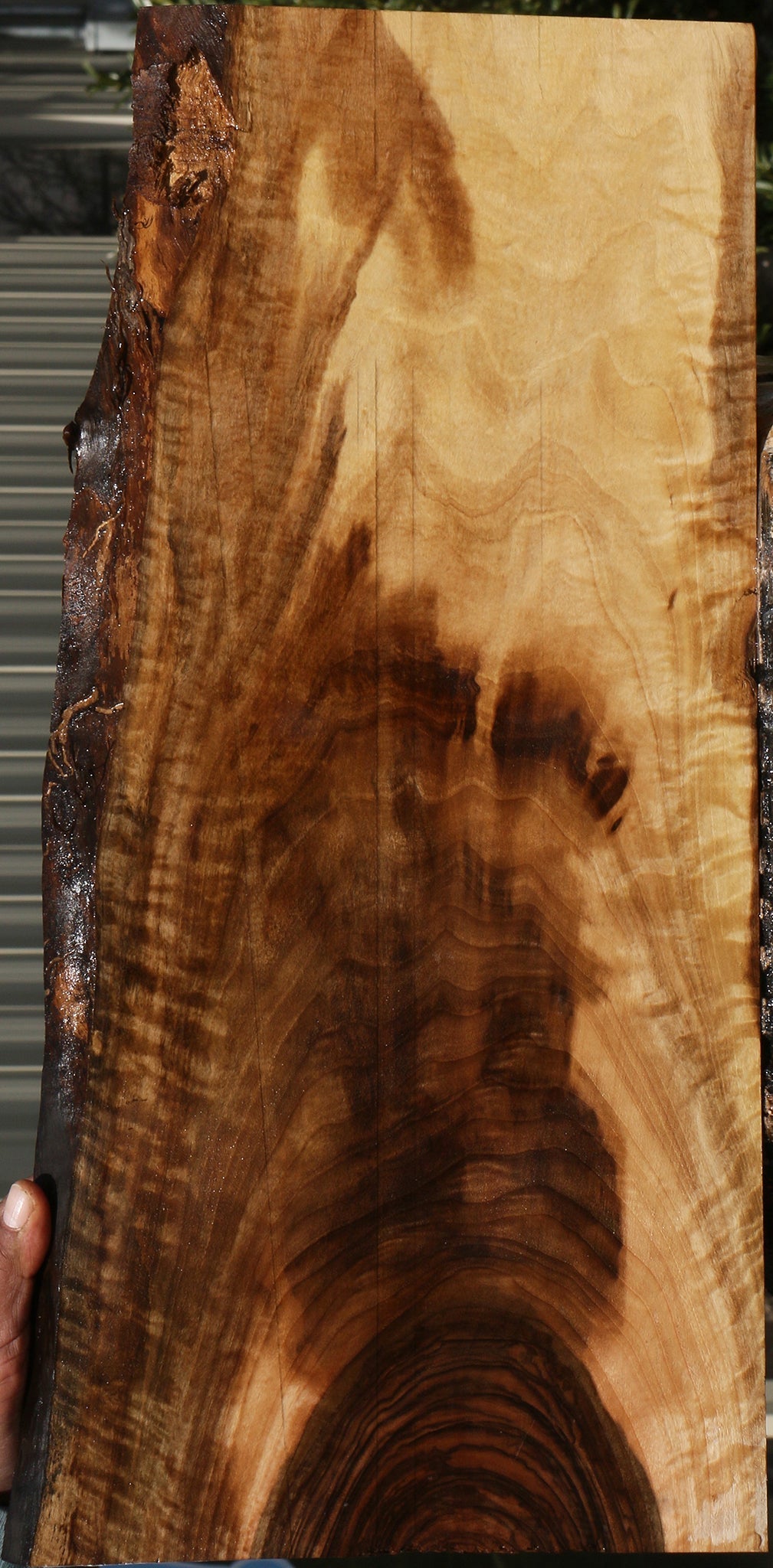 Extra Fancy English Walnut Live Edge Lumber