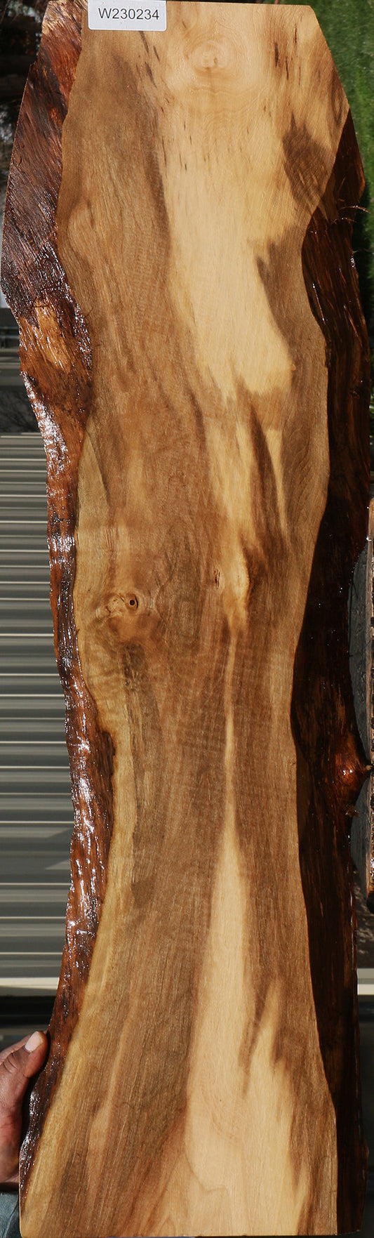 English Walnut Live Edge Micro Lumber