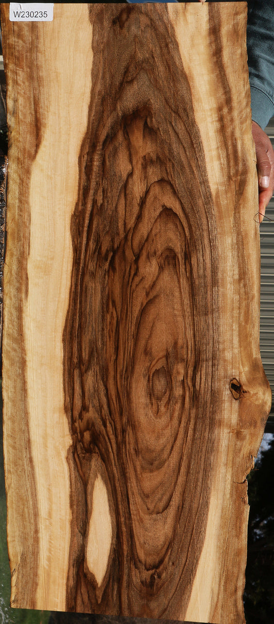 Extra Fancy English Walnut Live Edge Lumber