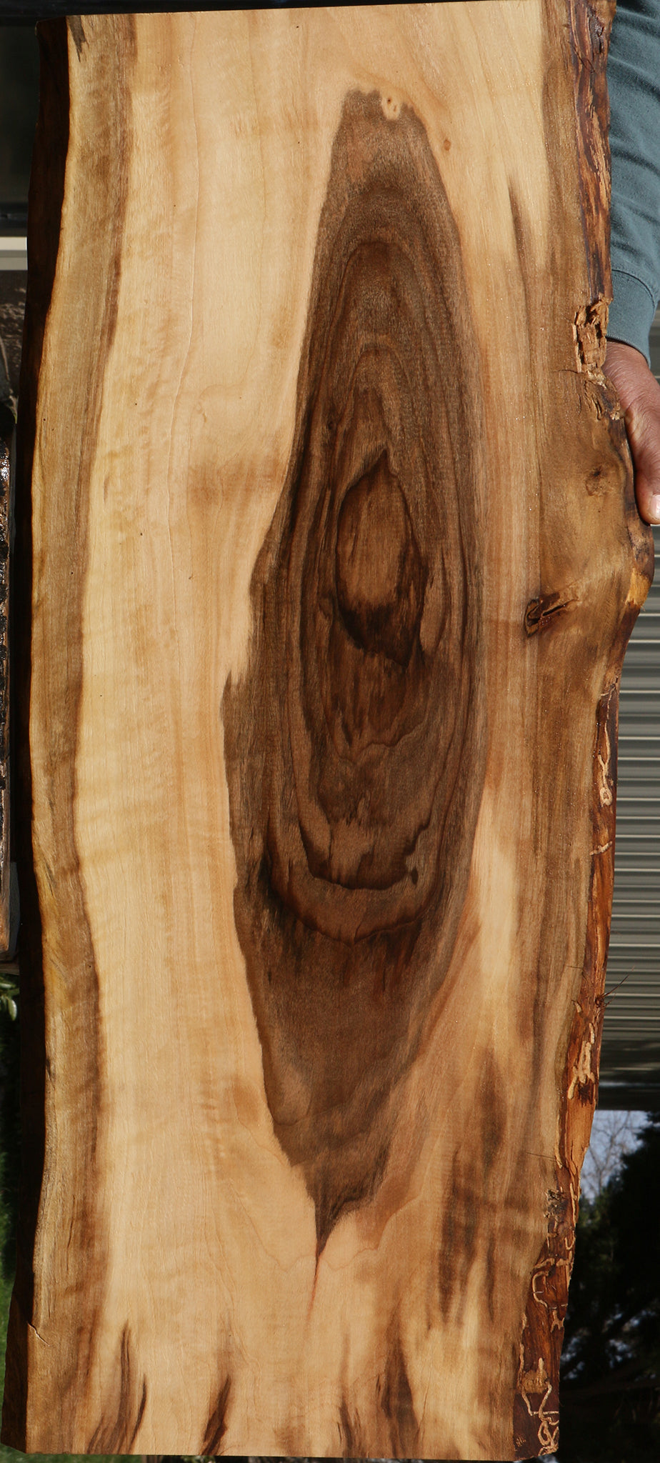 Extra Fancy English Walnut Live Edge Lumber