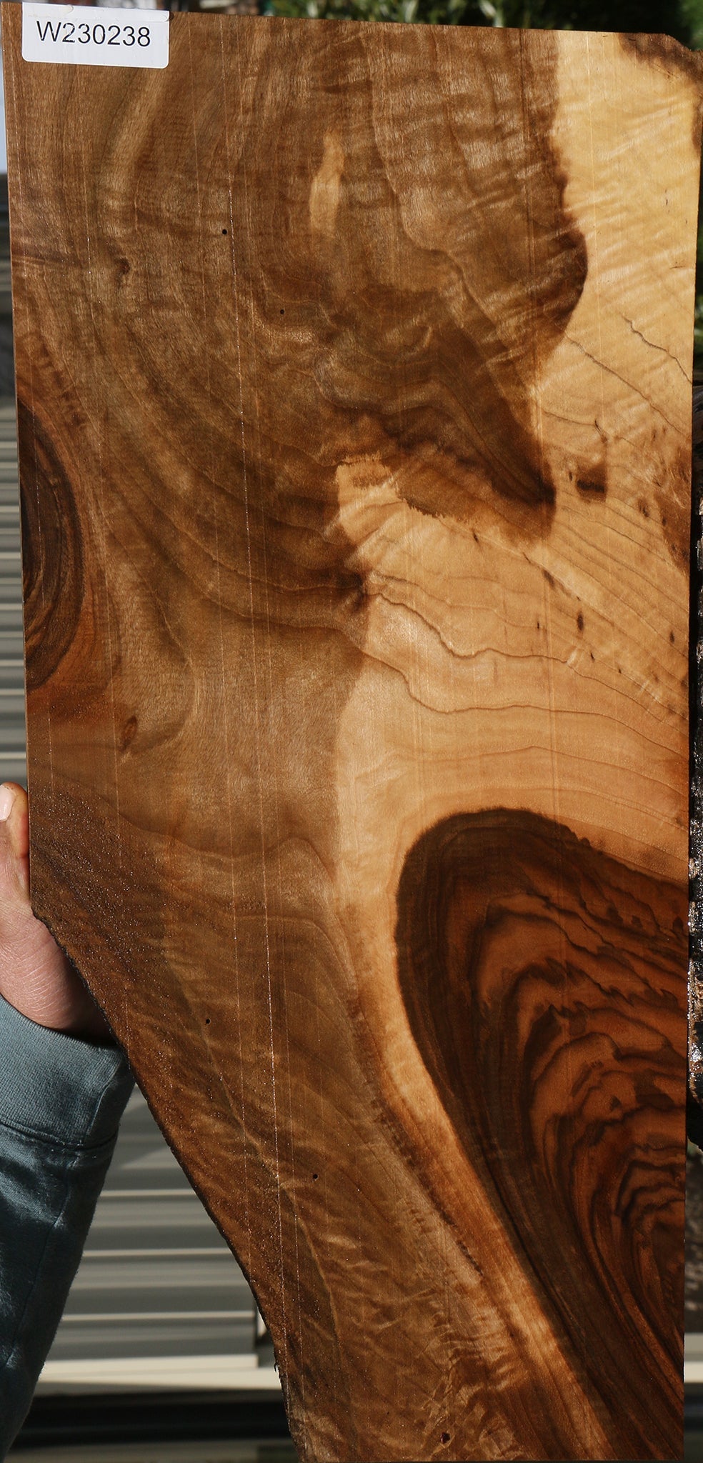 Extra Fancy English Walnut Live Edge Lumber