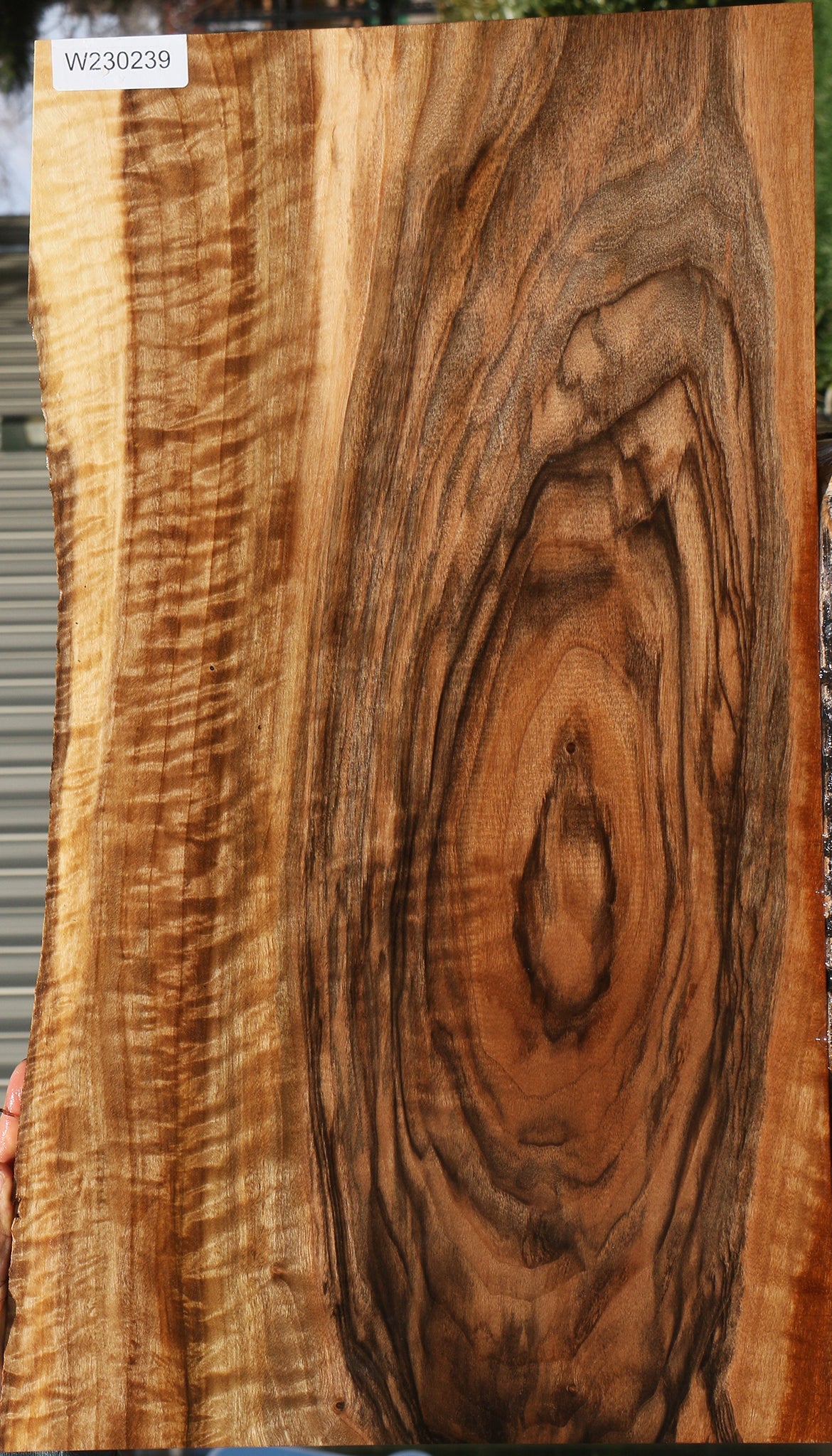 Exhibition English Walnut Live Edge Instrument Lumber