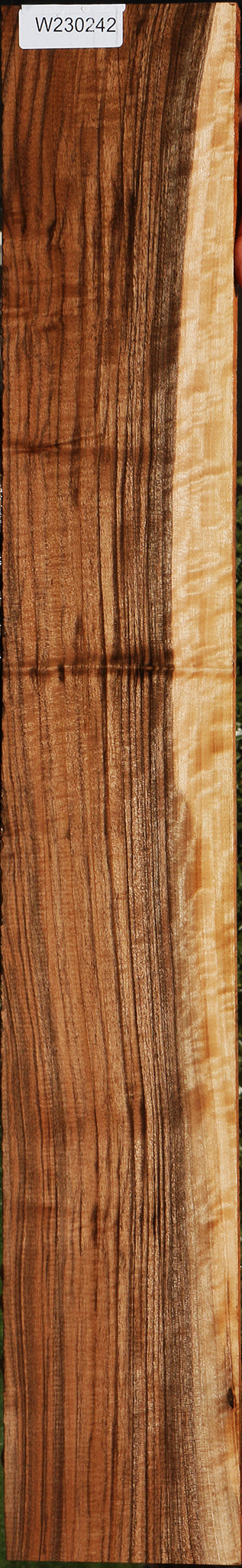 Exhibition English Walnut Instrument Lumber