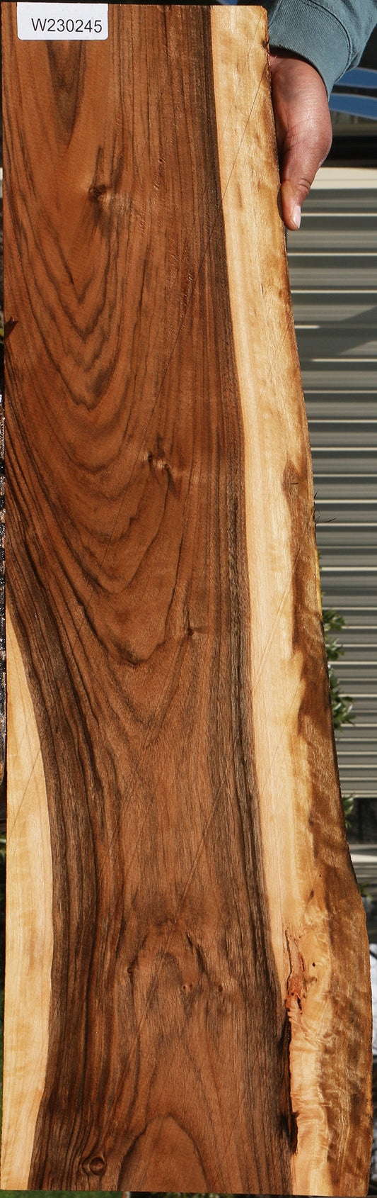 Figured English Walnut Live Edge Lumber