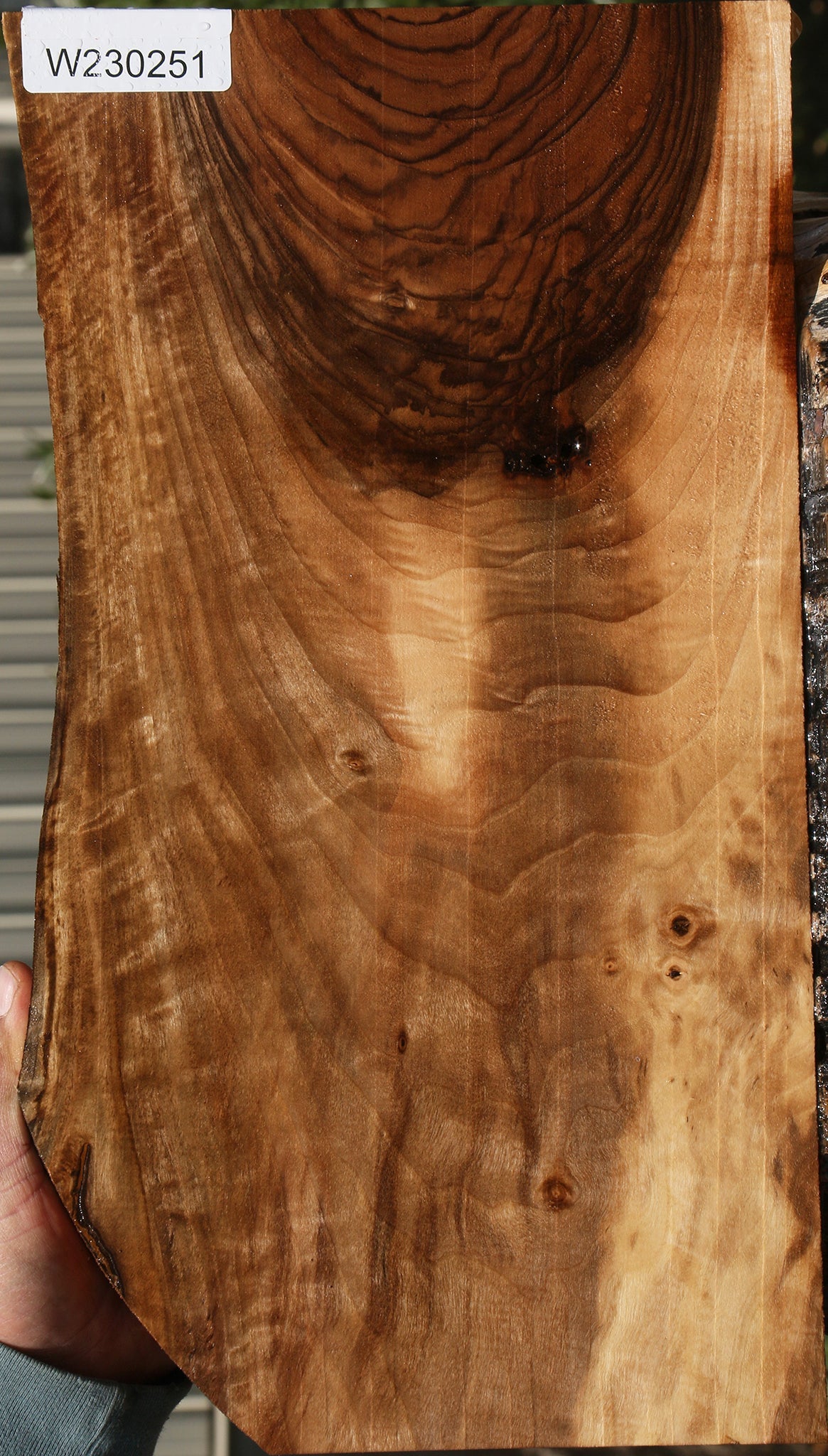 Extra Fancy English Walnut Live Edge Lumber