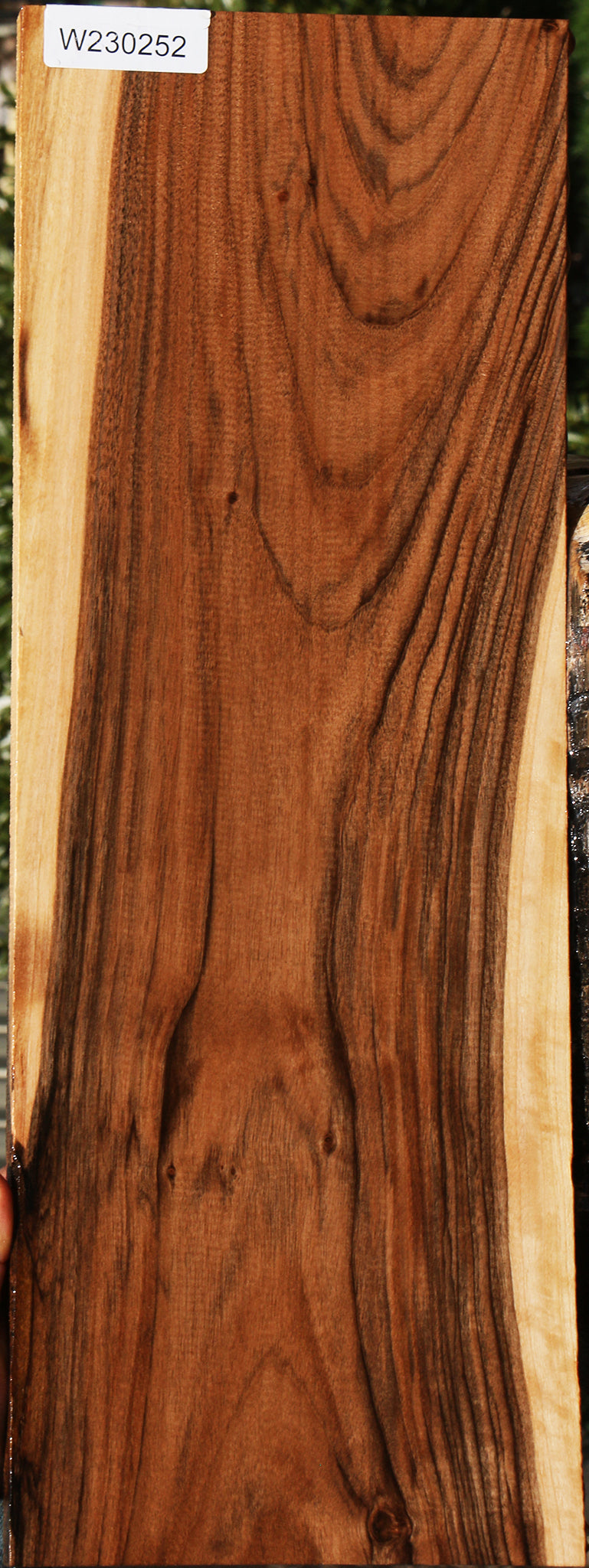 Extra Fancy English Walnut Instrument Lumber