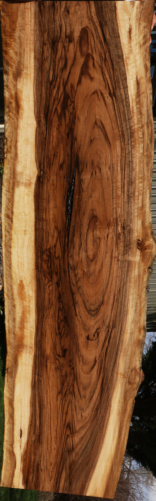 Rustic English Walnut Live Edge Lumber