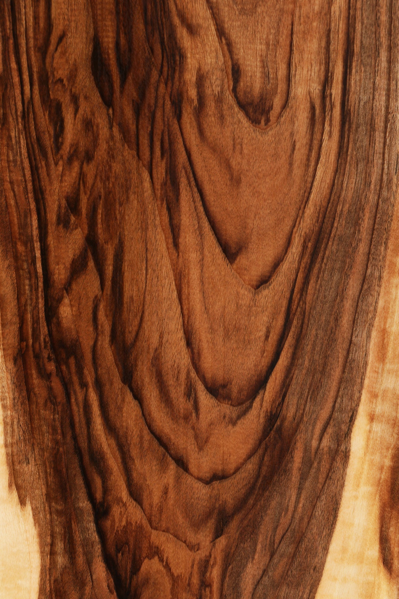 Rustic English Walnut Live Edge Lumber