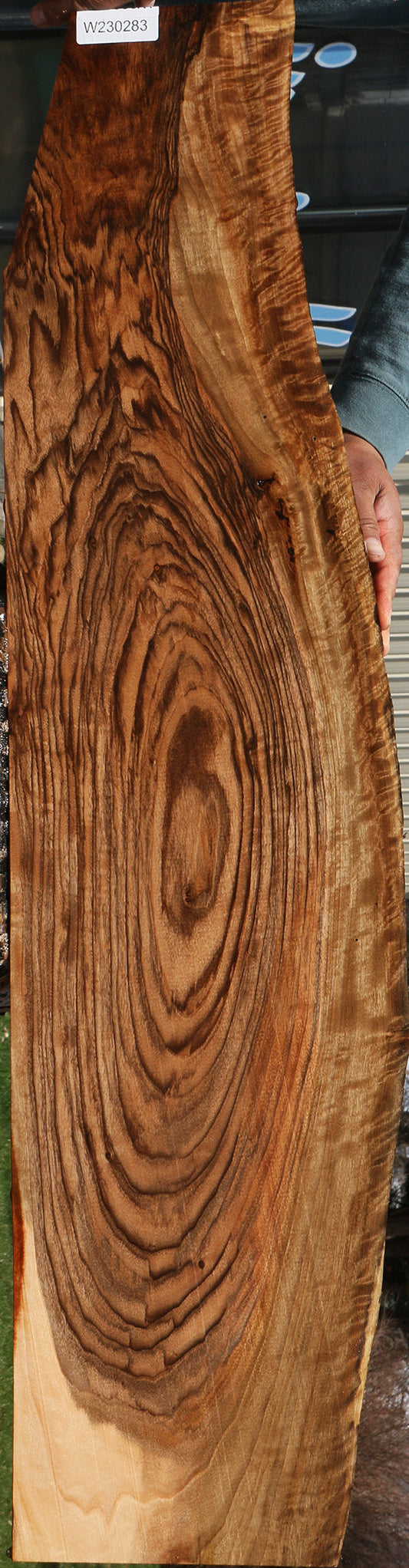 Exhibition English Walnut Instrument Lumber