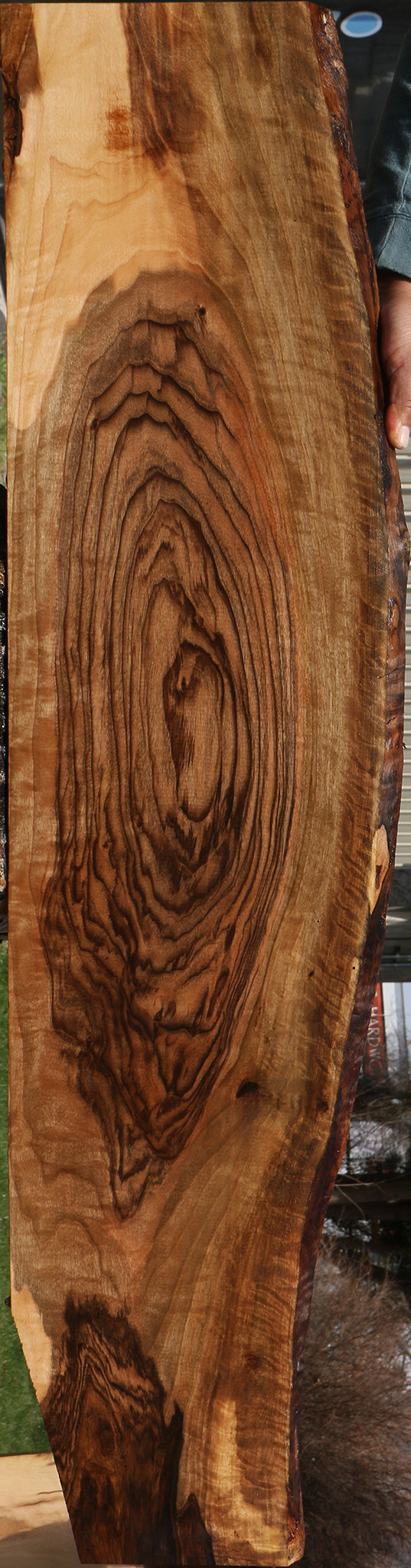 Exhibition English Walnut Instrument Lumber