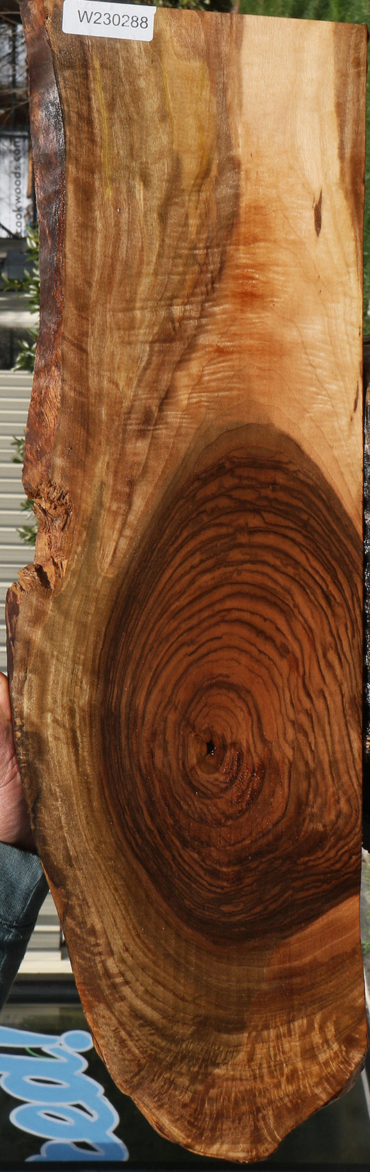 Extra Fancy English Walnut Live Edge Lumber