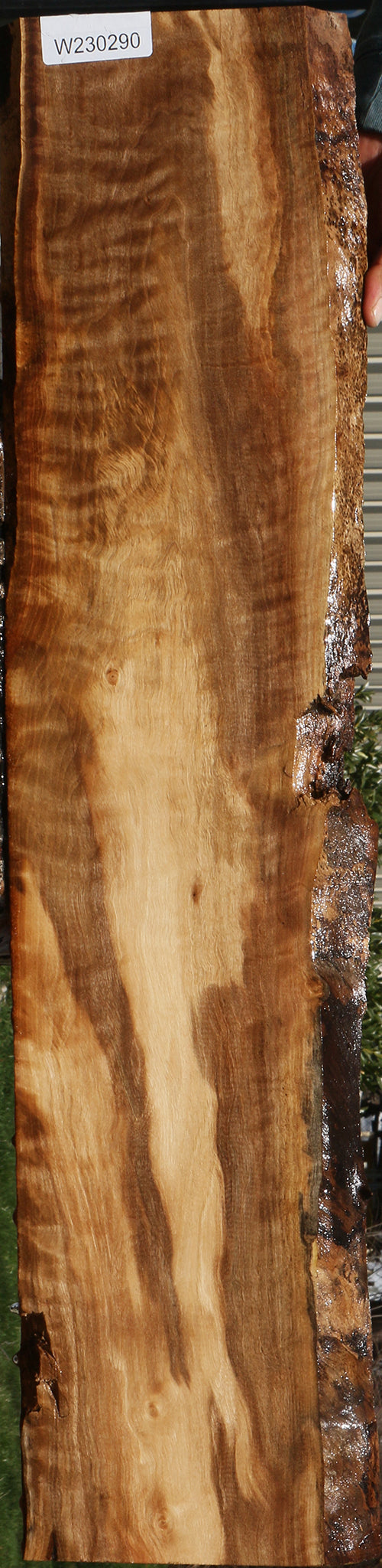 Extra Fancy English Walnut Live Edge Lumber