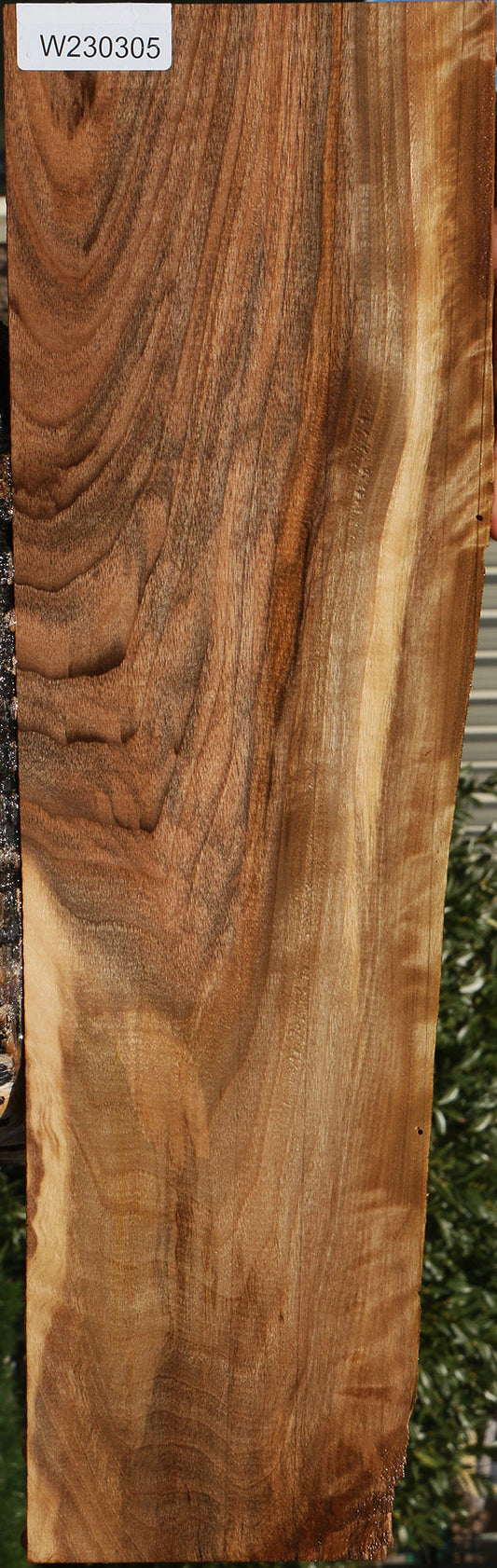 Figured English Walnut Live Edge Lumber
